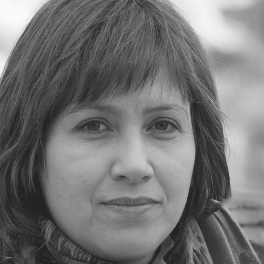 Perfil de mentora colaborativa